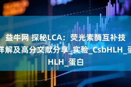 益牛网 探秘LCA：荧光素酶互补技术详解及高分文献分享_实验_CsbHLH_蛋白