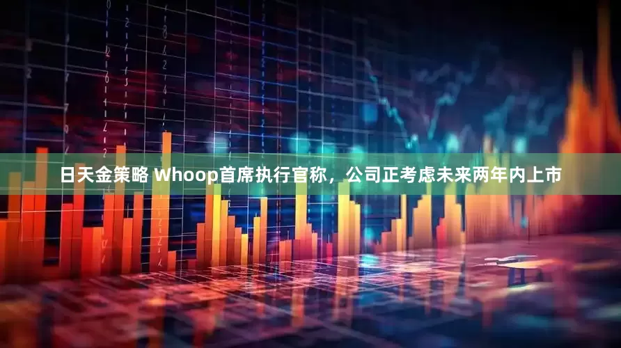 日天金策略 Whoop首席执行官称，公司正考虑未来两年内上市